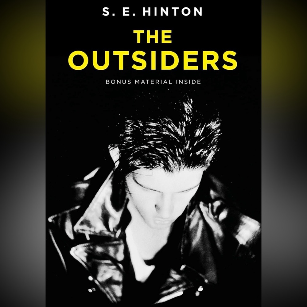 The Outsiders by S. E. Hinton- NWT